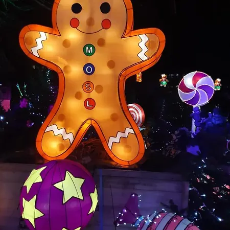 6 Rue De Vieilleville דירה מץ