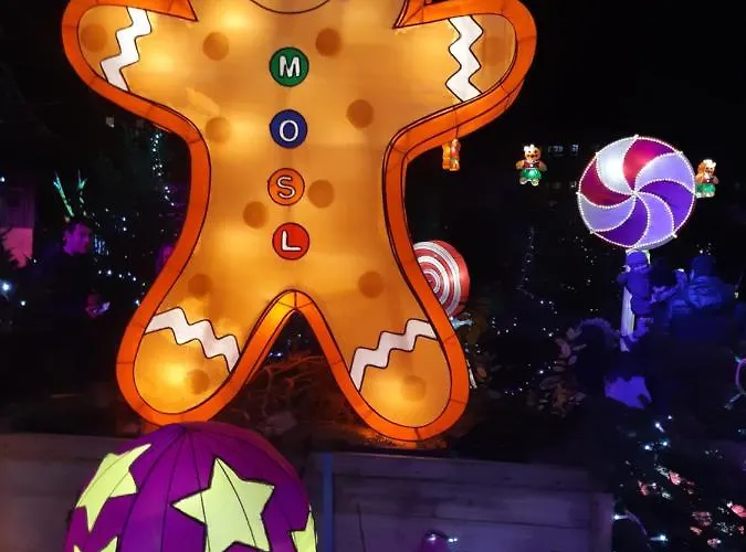 6 Rue De Vieilleville Lägenhet Metz